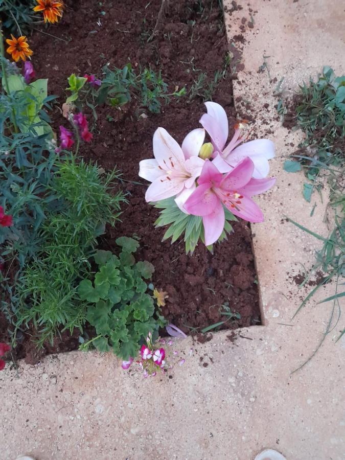 Rey Garden 2 Hotel Vlore Bagian luar foto